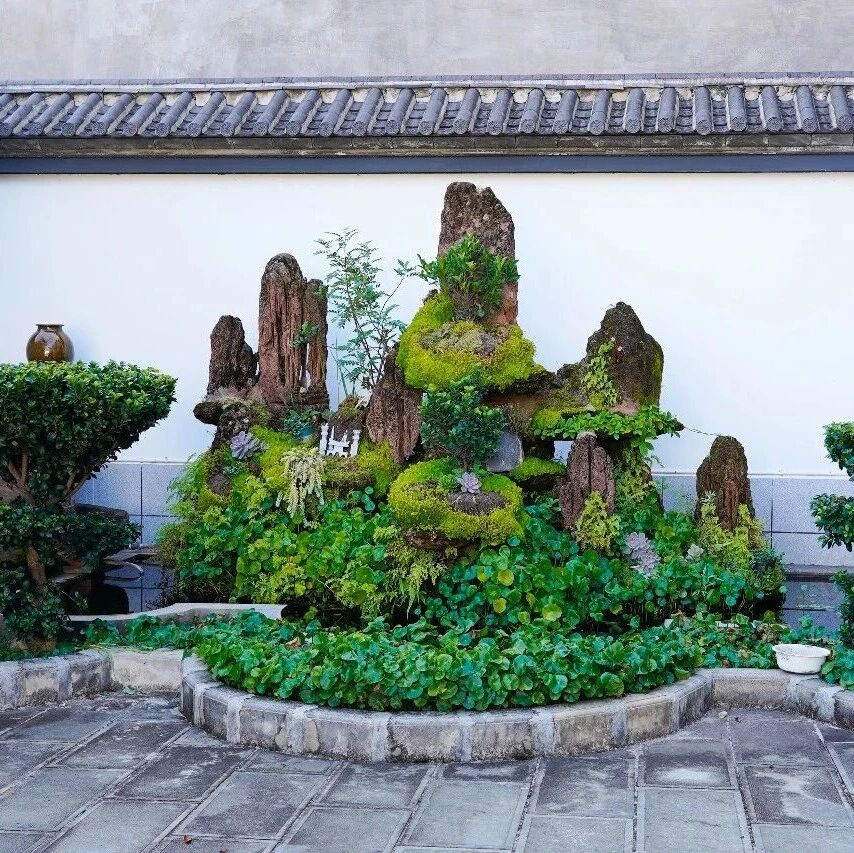 普淜村:小投入扮靓大村庄 普淜村:小投入扮靓大村庄