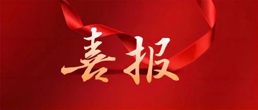 喜报！江海证券资产管理部斩获2026财联社“券商优秀固收资管计划金榛子奖”