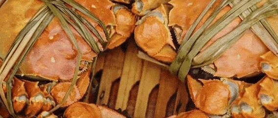 请转给爱吃螃蟹的朋友🦀🦀🦀! 请转给爱吃螃蟹的朋友🦀🦀🦀!