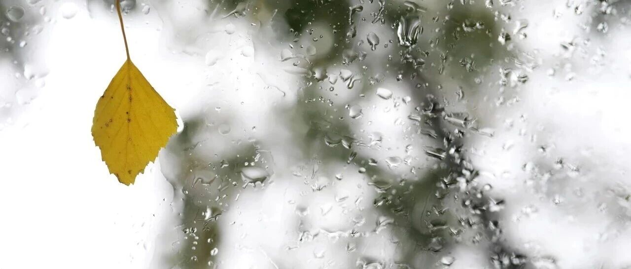 华西至江淮持续阴雨模式，一股较强冷空气9月底将登场