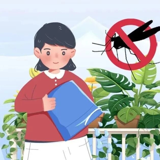 @坡头街坊，别让蚊子咬，防蚊措施不松懈~