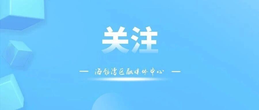 乌海禁止!非法采挖野生沙葱 乌海禁止!非法采挖野生沙葱