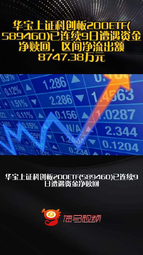 华宝上证科创板200ETF(589460)已连续9日遭遇资金净赎回，区间净流出额8747.38万元