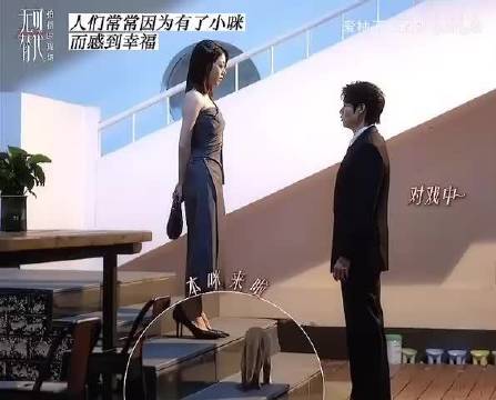 无可替代花絮：魏大勋赵今麦和小猫一起玩