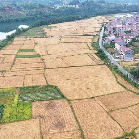 黄桑乡多措并举筑牢秸秆禁烧与森林防灭火双防线 黄桑乡多措并举筑牢秸秆禁烧与森林防灭火双防线