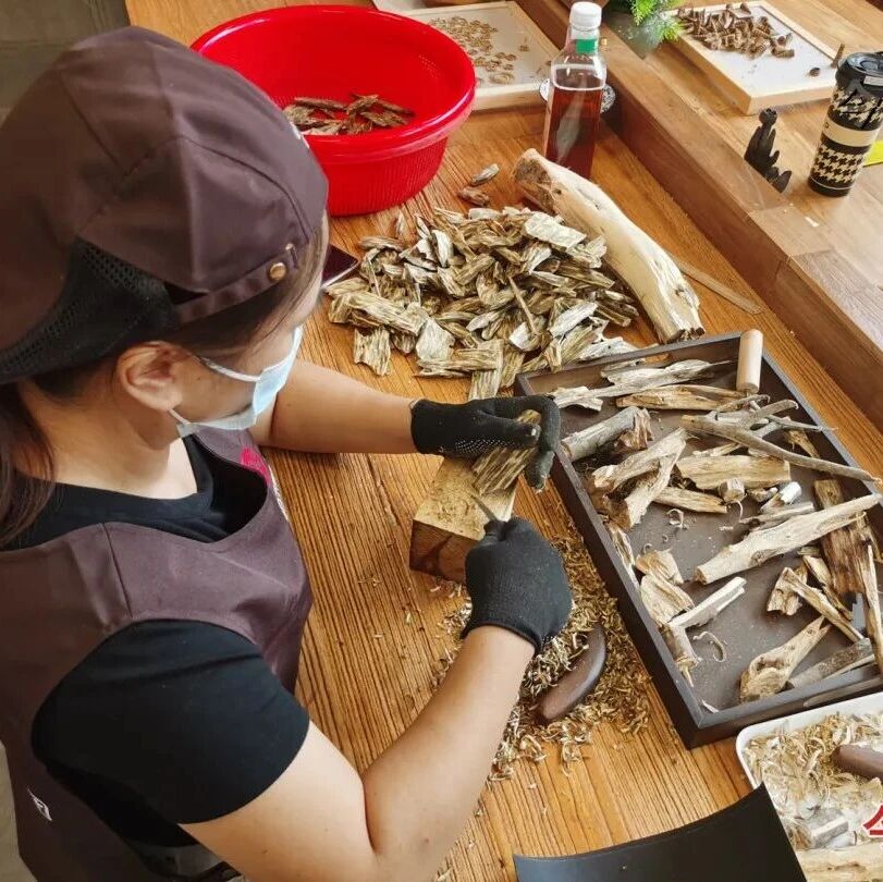 电白区政协开展沉香高质量产业发展专题视察