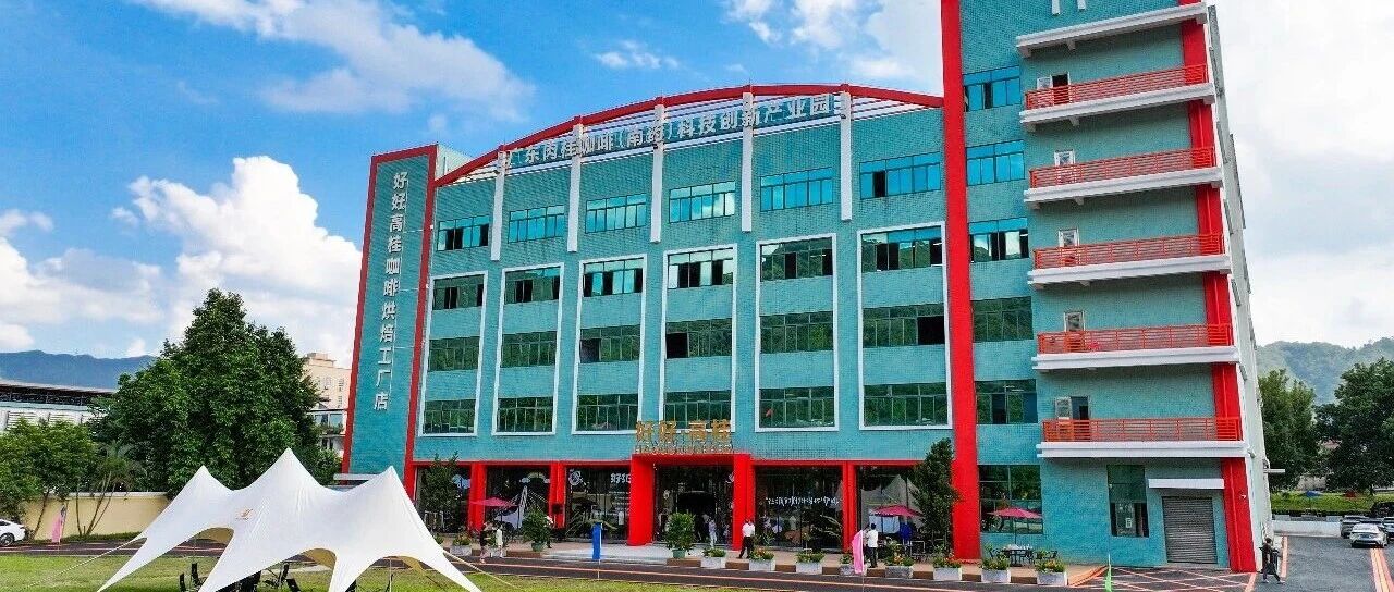 高要串起肉桂咖啡全产业链！肇庆一批镇村运营精品项目开业
