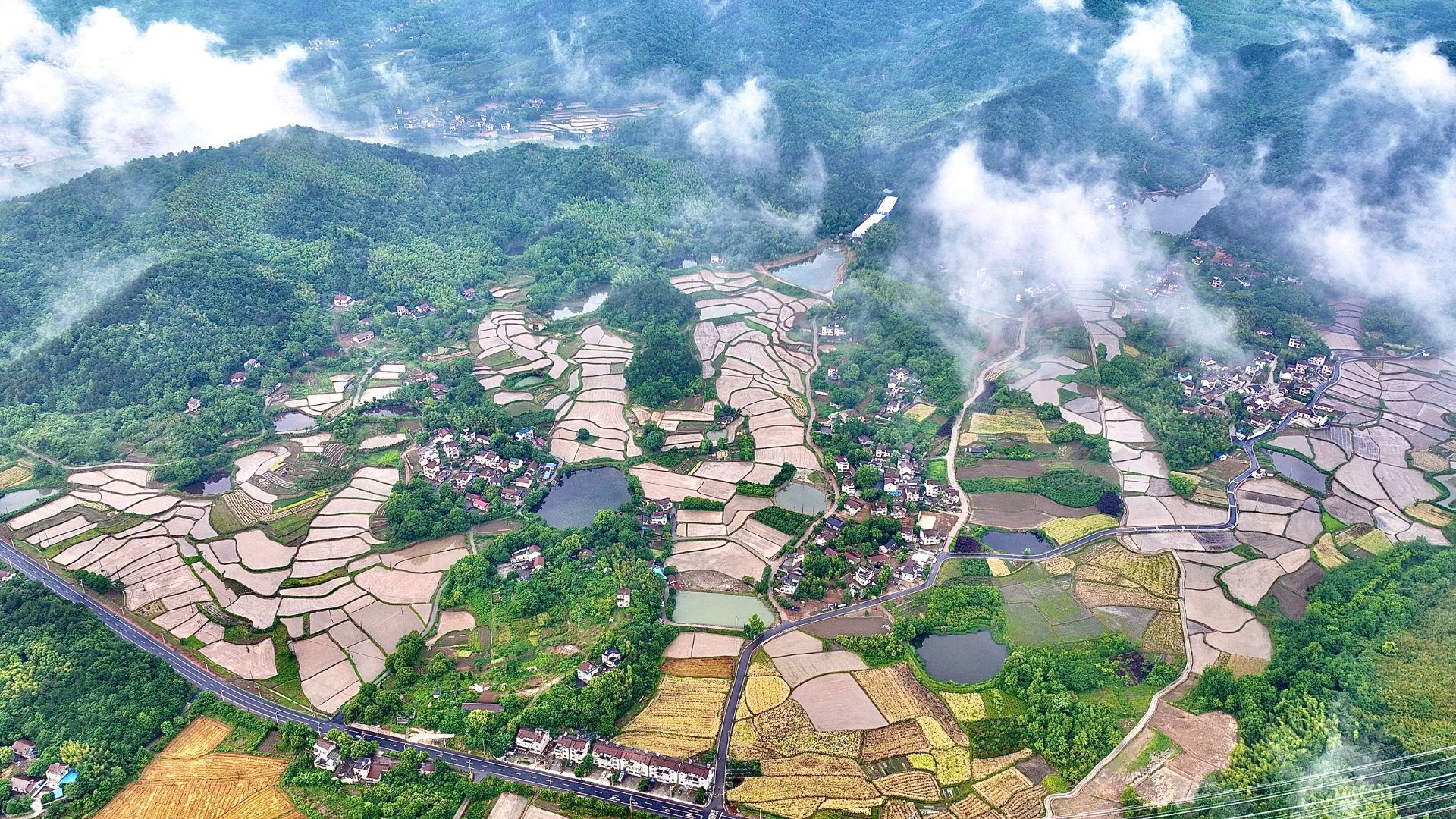 淮南：实地核验湿地生态治理成效