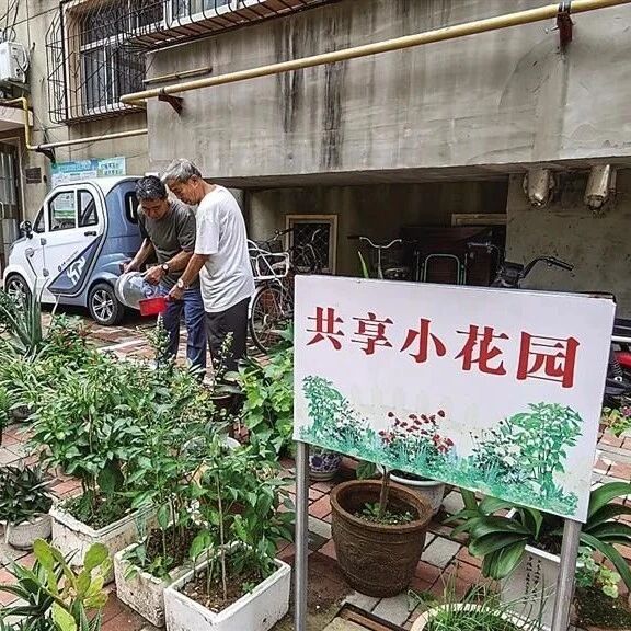 【双争进行时】小区成了“共享花园” 【双争进行时】小区成了“共享花园”