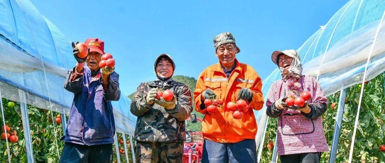 视觉长治丨满园“旱地红” 兴业惠农家 视觉长治丨满园“旱地红” 兴业惠农家