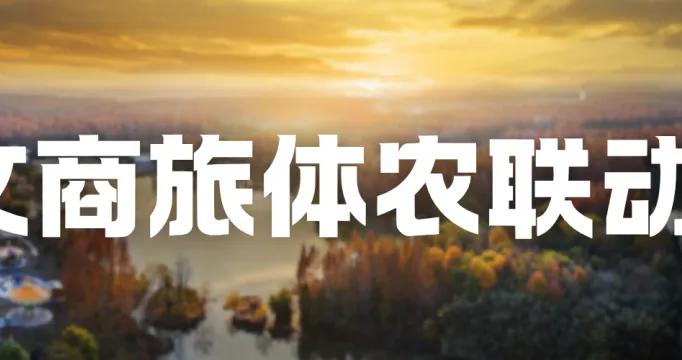 收藏！崇明自行车嘉年华出行全攻略