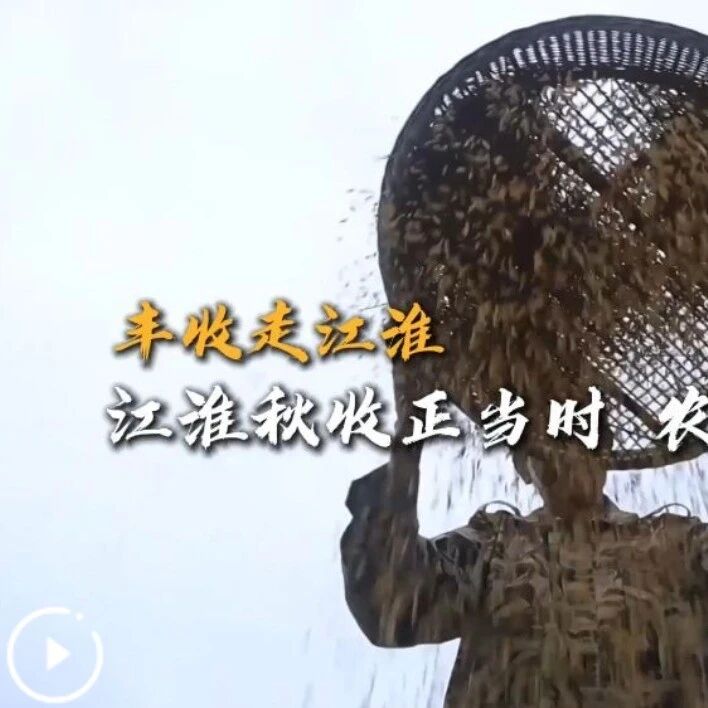 丰收走江淮 | 江淮秋收正当时 农旅融合助增收