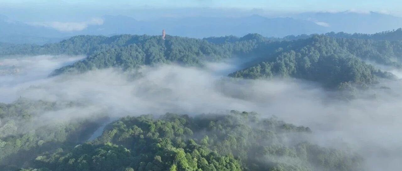 铜锣坝国家森林公园国庆推出“森湖寻宝·山野互动季”——邀您畅享滇东北“天然氧吧” 铜锣坝国家森林公园国庆推出“森湖寻宝·山野互动季”——邀您畅享滇东北“天然氧吧”
