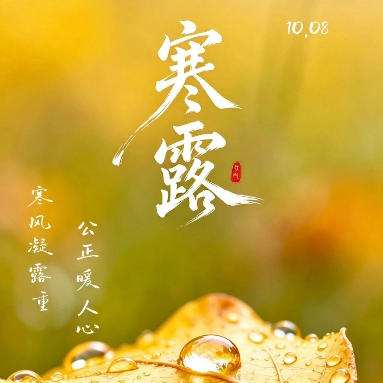 时序法音丨寒风凝露重 公正暖人心 时序法音丨寒风凝露重 公正暖人心