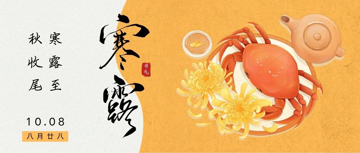 今日寒露,收心归位再出发 今日寒露,收心归位再出发