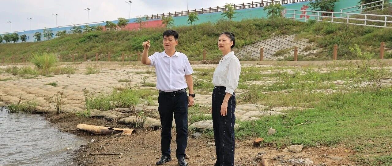 张议文到定城镇督导防风防汛工作