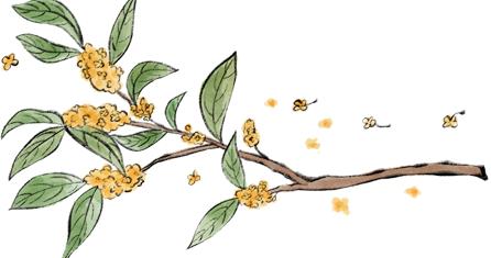 今日寒露丨首个带“寒”字的节气来了!该吃螃蟹啦 今日寒露丨首个带“寒”字的节气来了!该吃螃蟹啦