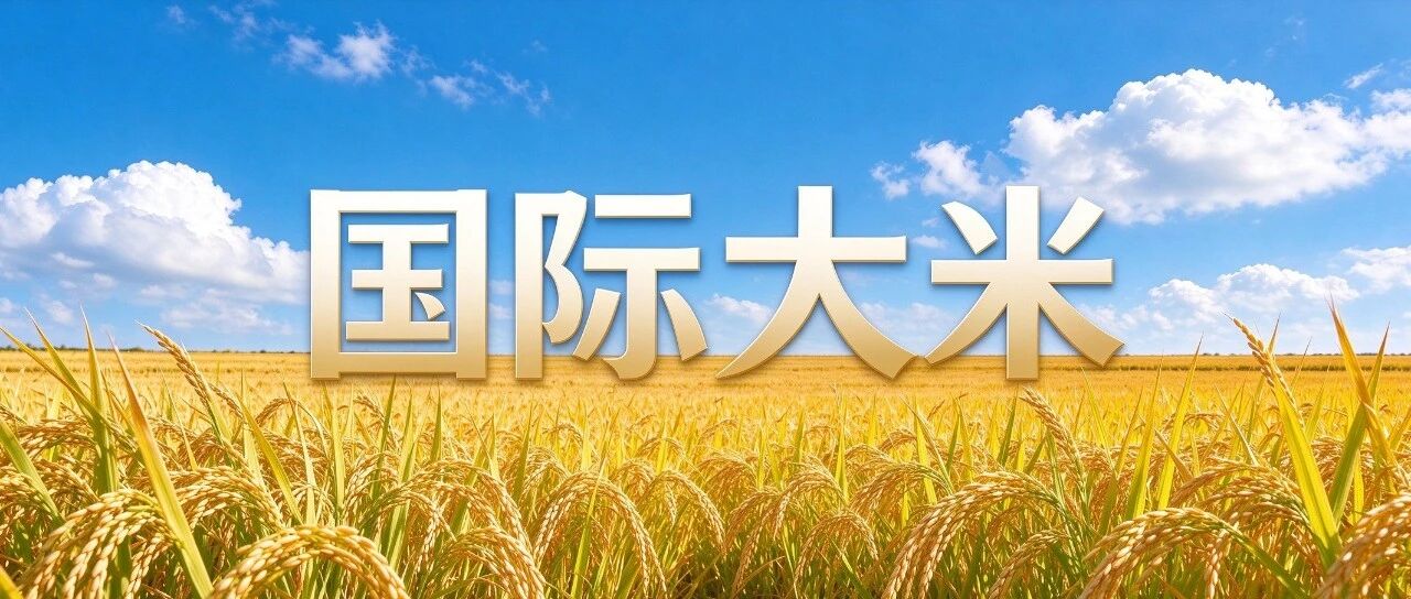 国际大米出口价格维持高位