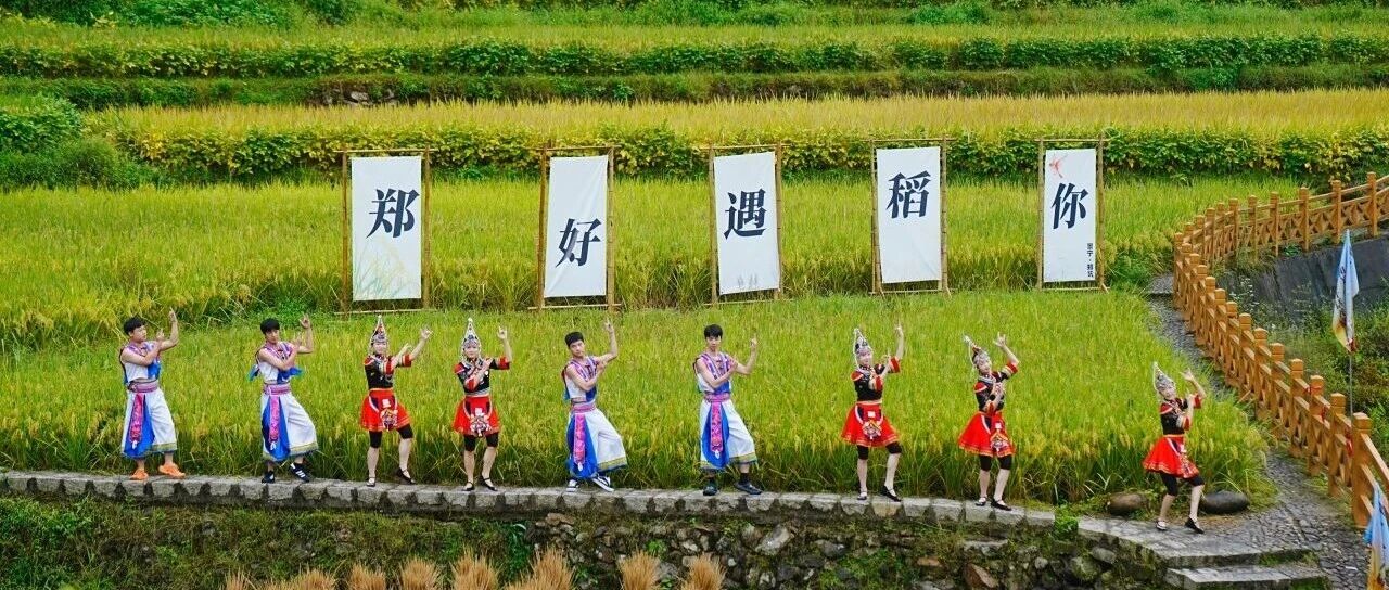 贯彻落实县委全会精神丨郑坑乡:深耕特色产业发展 走出民族乡镇共富路 贯彻落实县委全会精神丨郑坑乡:深耕特色产业发展 走出民族乡镇共富路