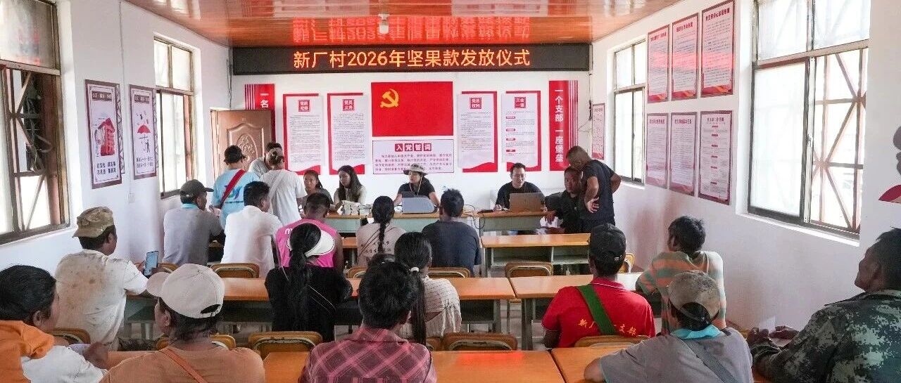 西盟:真金白银兑付!160万元坚果款直达农户暖民心 西盟:真金白银兑付!160万元坚果款直达农户暖民心