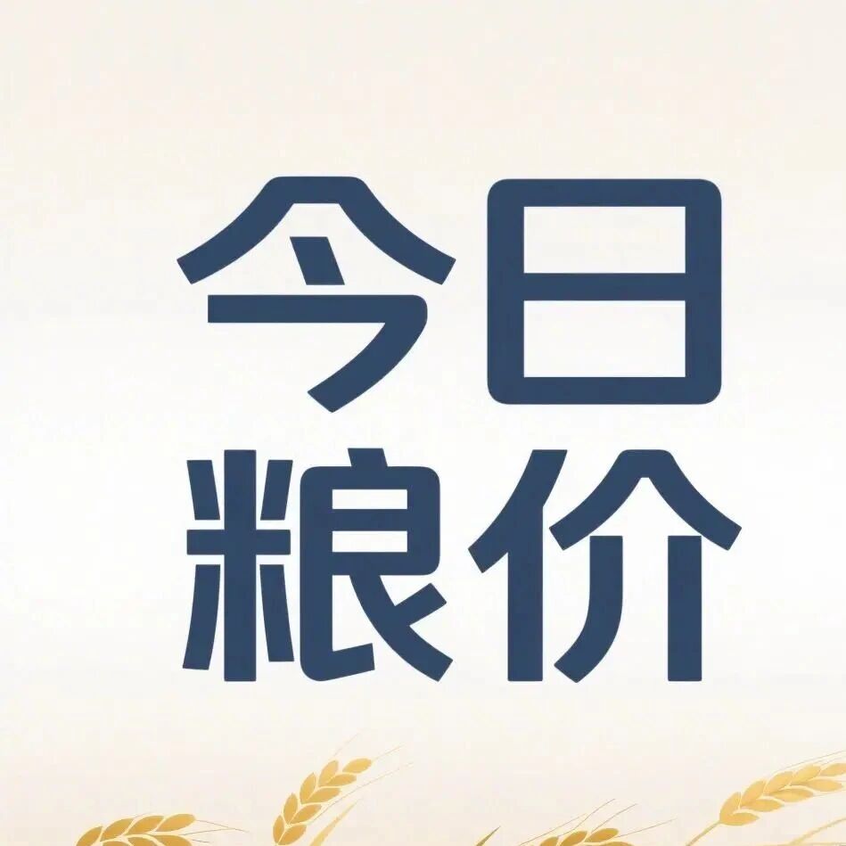 2026年10月9日国内粮油市场行情信息