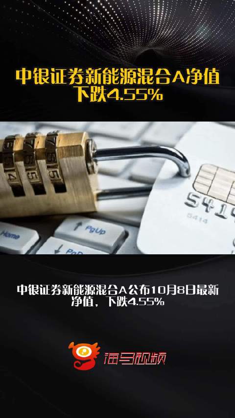 中银证券新能源混合A净值下跌4.55%