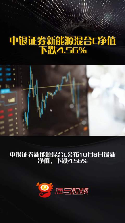 中银证券新能源混合C净值下跌4.56%