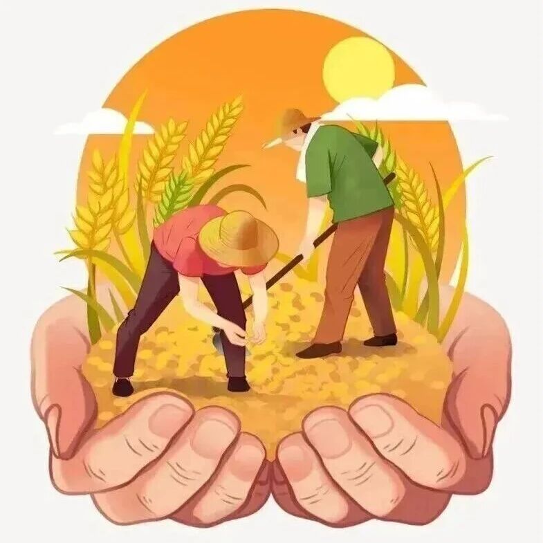 【关注】秋收农忙正当时  交通安全不“打盹”
