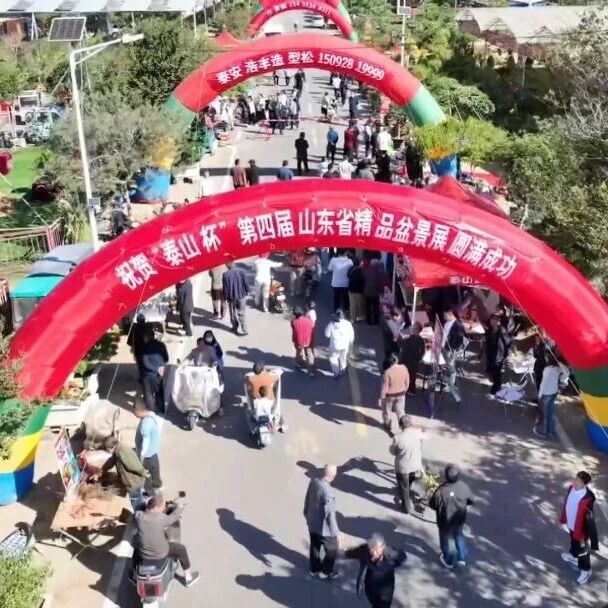 第二十一届泰山苗木花卉交易会落幕 搭建对接洽谈平台 推动产业转型升级 第二十一届泰山苗木花卉交易会落幕 搭建对接洽谈平台 推动产业转型升级