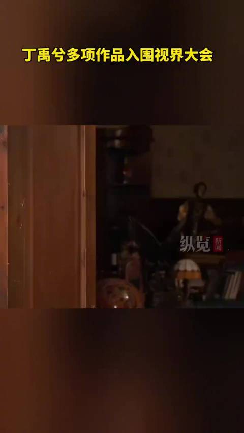 丁禹兮多项作品入围视界大会