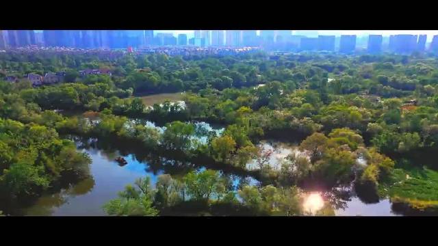 和杭州繁华都市和睦相处的和睦湿地