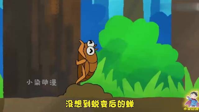 蜡笔小新：五小只捉独角仙期间！发现了足以影响生物界的黄金蝉！