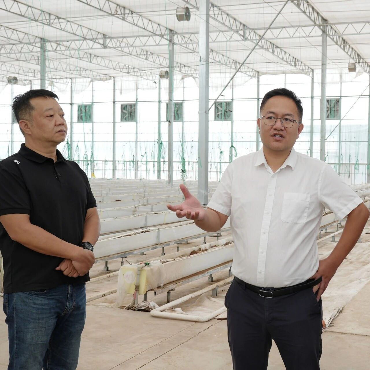 李进财督导调研云南元谋第十届蔬菜种业博览会筹备工作时强调:抓实抓细筹备任务 办出务实高效种业盛会 李进财督导调研云南元谋第十届蔬菜种业博览会筹备工作时强调:抓实抓细筹备任务 办出务实高效种业盛会
