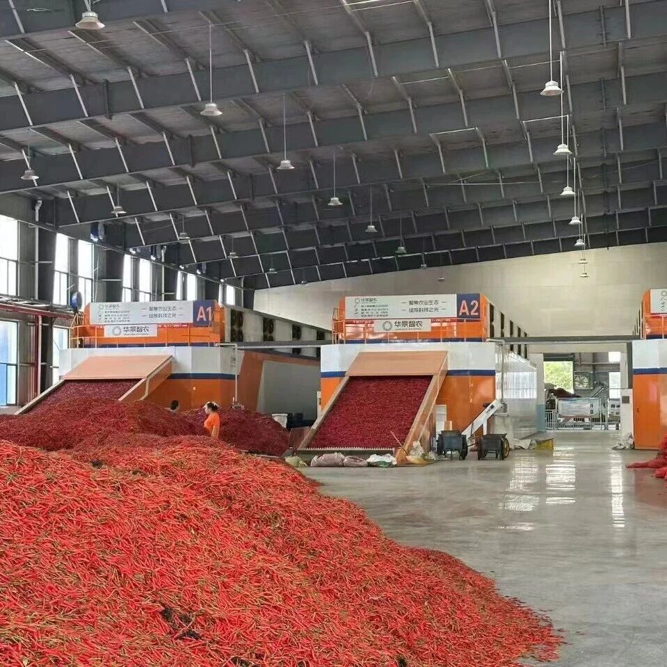 “贷”动辣椒产业红