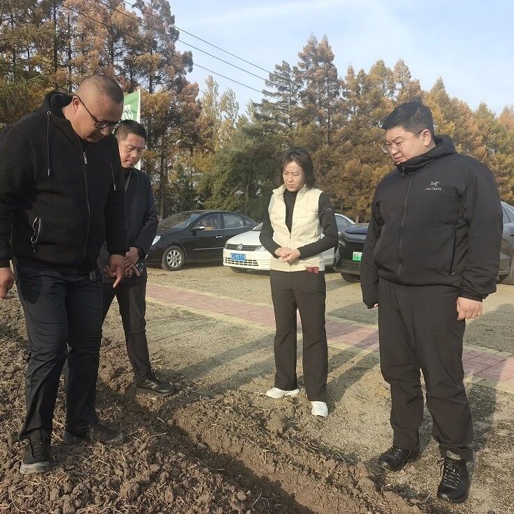 金秋踏查保秋收 垦地共建促振兴——五林洞镇多措并举护航秋收生产