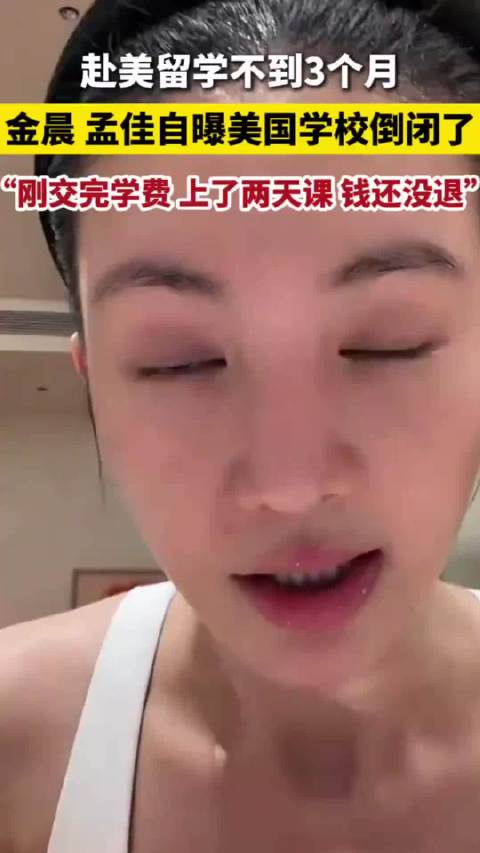 金晨刚交完学费美国学校就倒闭了