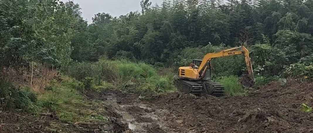 汉川：脉旺人记忆里的这条老河，正在苏醒