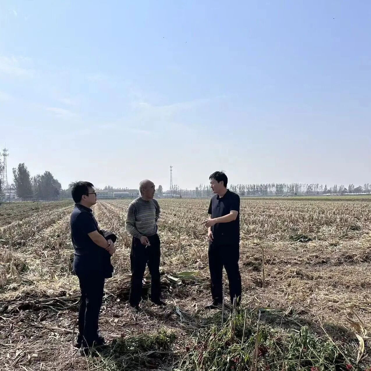 扶沟县江村镇： 深耕矛盾纠纷化解 护航“三秋”生产稳定