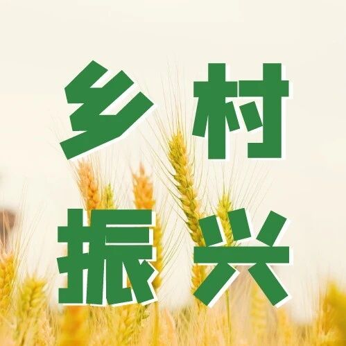 【乡村振兴】屏上守乡土 指尖兴家乡——母子携手绘就数字助农新画卷