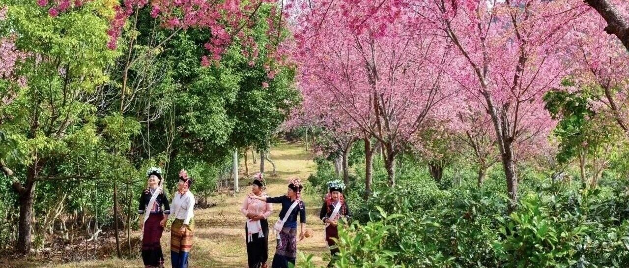 文旅之窗｜澜沧人的松弛感，你get到了吗