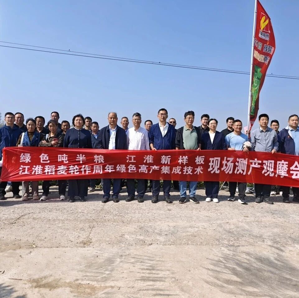 周年亩产1518.7公斤！绿色吨半粮江淮新样板