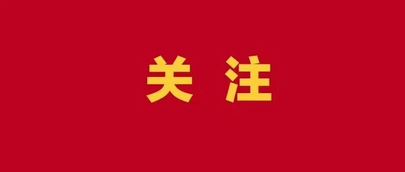 【人民网关注】车轮驰骋壮美边关 环广西世巡赛遇见锦绣龙州