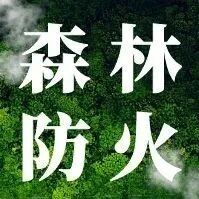 【森林防火】严防严控筑防线 织密秋防安全网
