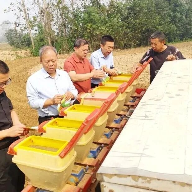 秋播一粒籽 夏收万斤油 | 分路镇游洲村油菜秋播正当时 秋播一粒籽 夏收万斤油 | 分路镇游洲村油菜秋播正当时