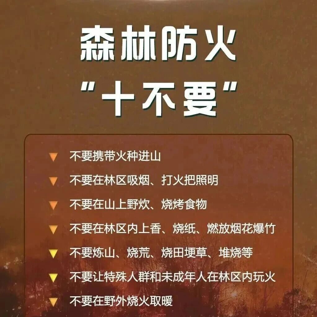 秋风起,这些森林防火知识请牢记! 秋风起,这些森林防火知识请牢记!