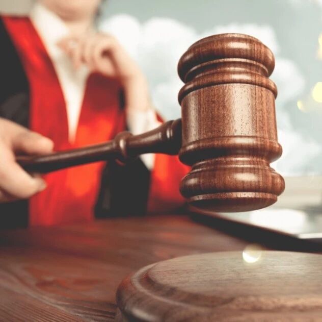 弘元绿能起诉自媒体并索赔1500万元 弘元绿能起诉自媒体并索赔1500万元