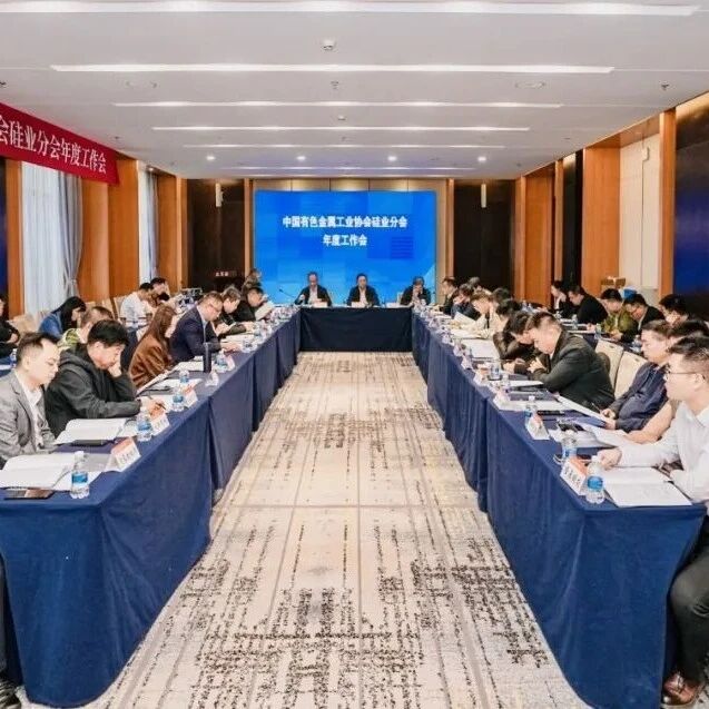 中国有色金属工业协会硅业分会年度工作会在包头召开 中国有色金属工业协会硅业分会年度工作会在包头召开