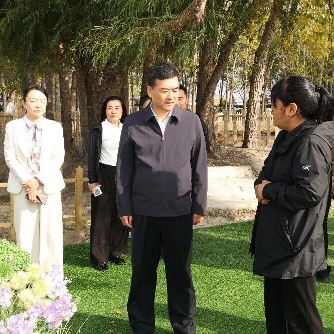 区政协主席集体对大洼建设湿地文化旅游示范区进展情况进行视察