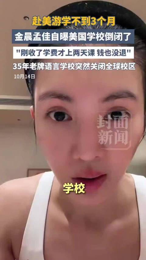 金晨孟佳自曝学校倒闭真实原因