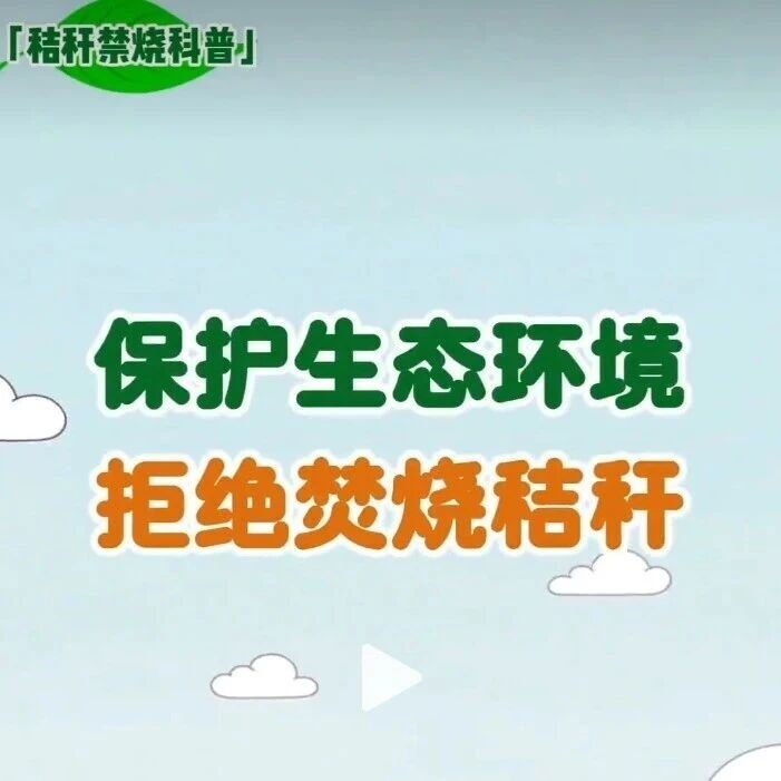 我为环保作贡献、献良策、当卫士 | 秸秆:别烧我!我还能利用! 我为环保作贡献、献良策、当卫士 | 秸秆:别烧我!我还能利用!